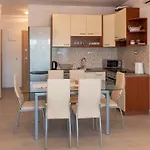 Marina 트로기르